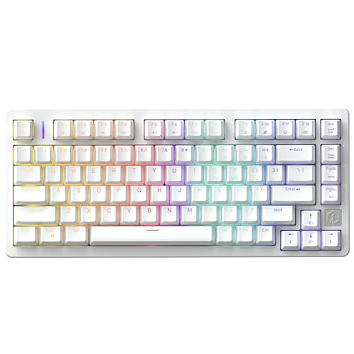 Amazon.co.jp: IROK ND75 ラピッドトリガー 磁気スイッチ